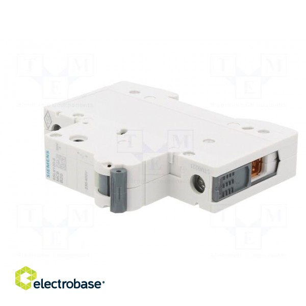 Circuit breaker | 230VAC | Inom: 20A | Poles: 1 | Charact: B | 6kA | IP20 image 2