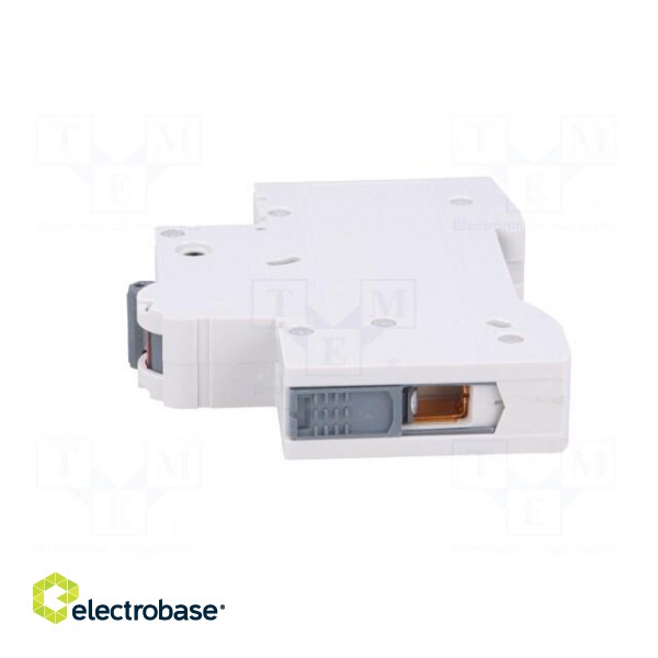 Circuit breaker | 230VAC | Inom: 20A | Poles: 1 | DIN | Charact: C | 6kA image 3