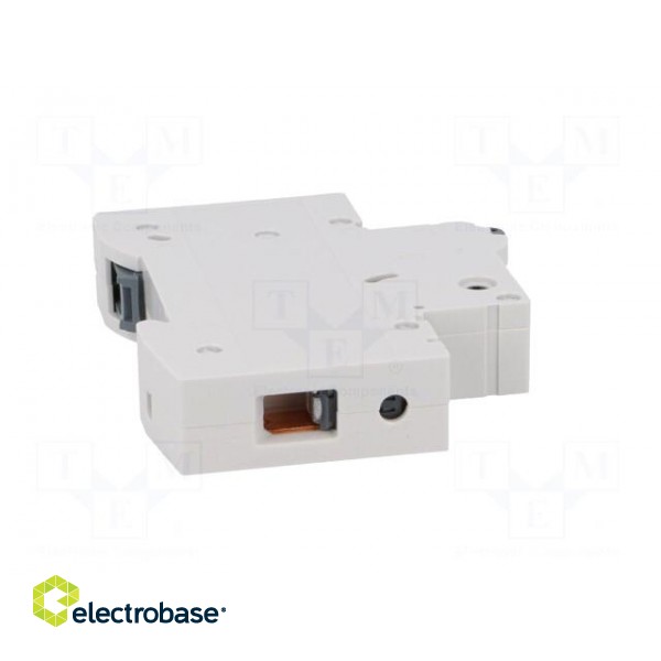 Circuit breaker | 230VAC | Inom: 25A | Poles: 1 | DIN | Charact: C | 6kA image 7