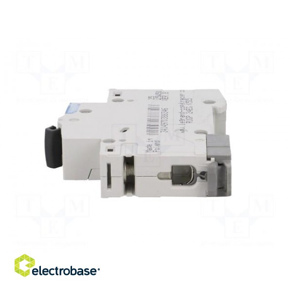 Circuit breaker | 230VAC | Inom: 25A | Poles: 1 | Charact: C | 6kA | IP20 image 3