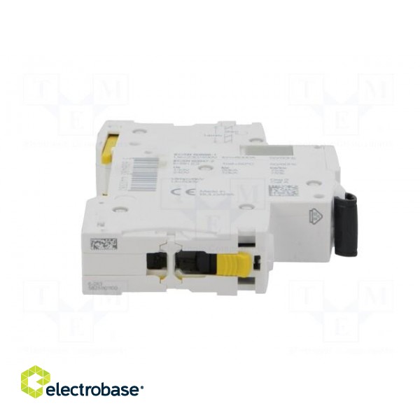 Circuit breaker | 230VAC | Inom: 25A | Poles: 1 | Charact: C | 6kA | IP20 image 7