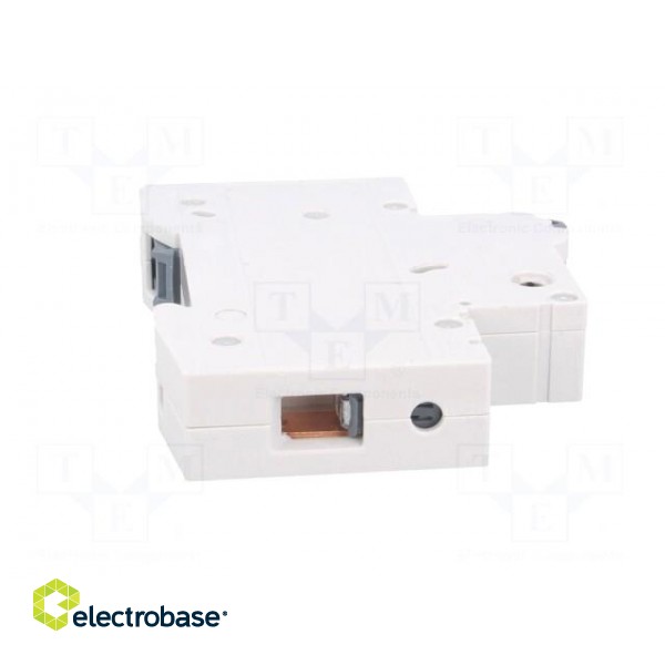 Circuit breaker | 230VAC | Inom: 2A | Poles: 1 | DIN | Charact: C | 6kA image 7