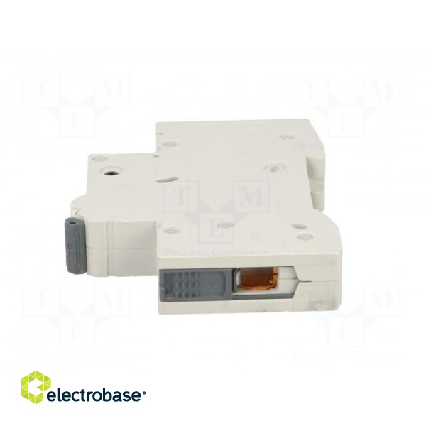 Circuit breaker | 230VAC | Inom: 32A | Poles: 1 | Charact: C | 6kA | IP20 image 3