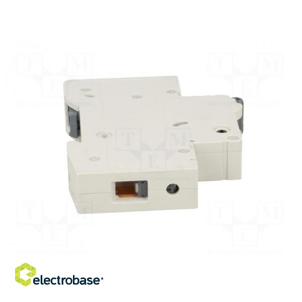 Circuit breaker | 230VAC | Inom: 32A | Poles: 1 | Charact: C | 6kA | IP20 image 7