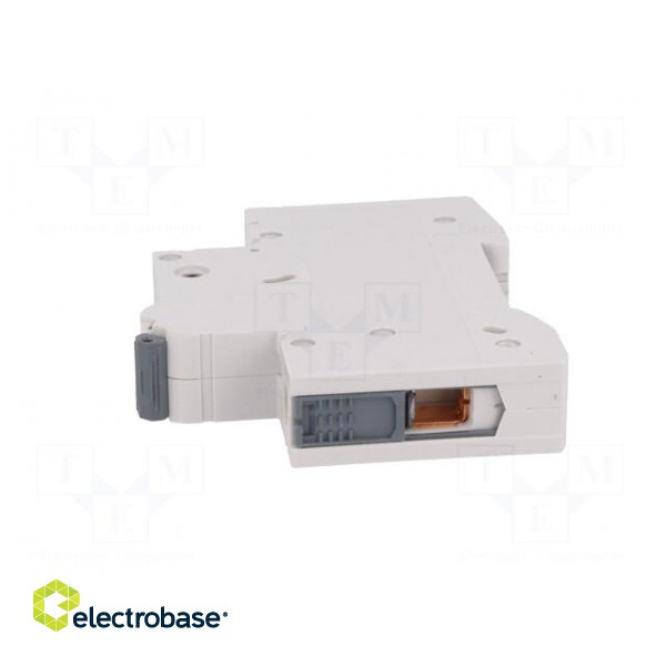 Circuit breaker | 230VAC | Inom: 3A | Poles: 1 | DIN | Charact: C | 6kA image 3