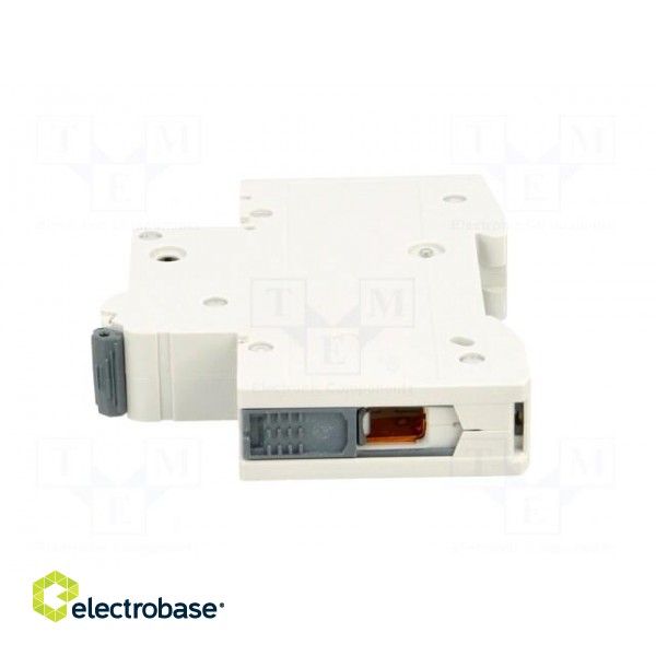 Circuit breaker | 230VAC | Inom: 40A | Poles: 1 | Charact: C | 6kA | IP20 image 3