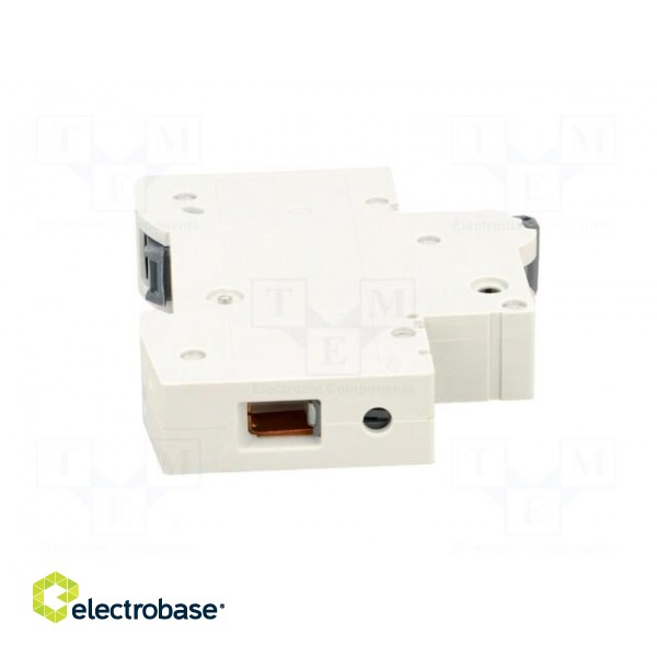 Circuit breaker | 230VAC | Inom: 40A | Poles: 1 | Charact: C | 6kA | IP20 image 7