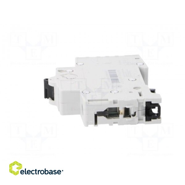 Circuit breaker | 230VAC | Inom: 40A | Poles: 1 | DIN | Charact: B | 6kA image 3