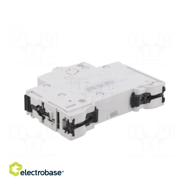 Circuit breaker | 240VAC | Inom: 16A | Poles: 1 | Charact: C | 25kA | IP20 image 4