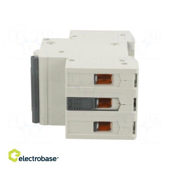 Circuit breaker | 400VAC | Inom: 50A | Poles: 3 | Charact: C | 6kA | IP20 фото 3