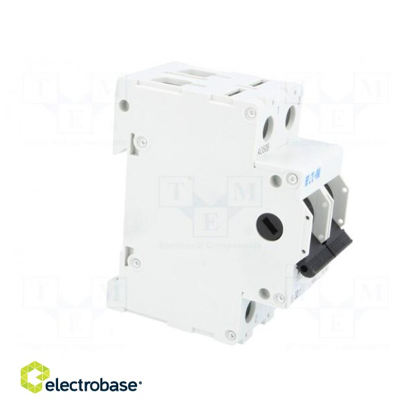 Switch-disconnector | Poles: 2 | DIN | 32A | 240VAC | IS | IP40 | 2.5÷50mm2 image 8