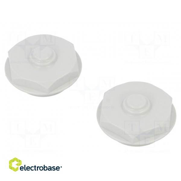 Switch-disconnector | Poles: 4 | flush mounting | 25A | BW | IP65 image 2