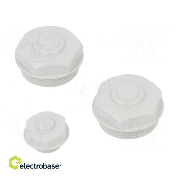 Switch-disconnector | Poles: 4 | flush mounting | 40A | BW | IP65 image 2