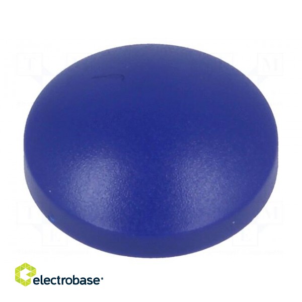 Button | round | blue | plastic фото 1