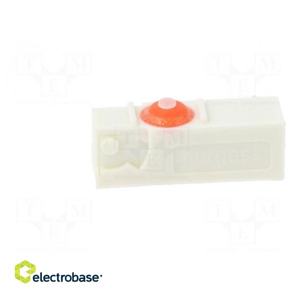 Microswitch SNAP ACTION | 1A/250VAC | without lever | SPDT | ON-(ON) image 3