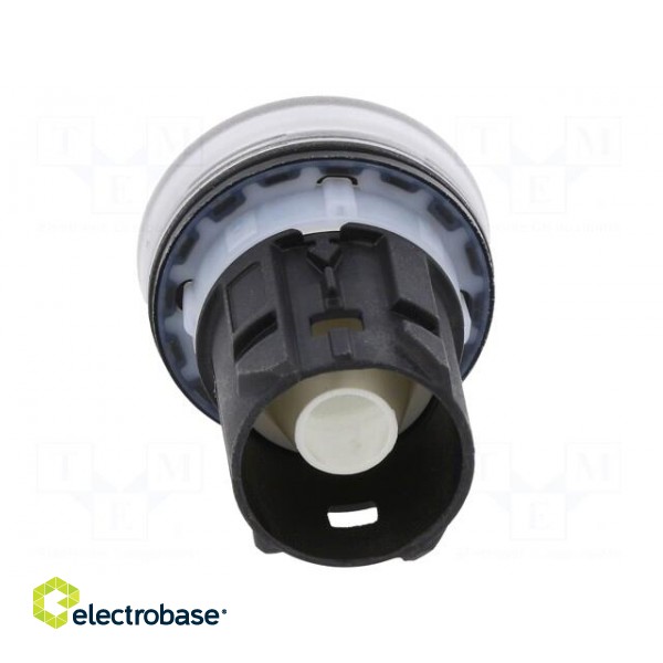 Control lamp | 22mm | IP67 | Ø22mm | -25÷70°C | Button marking: blank paveikslėlis 5