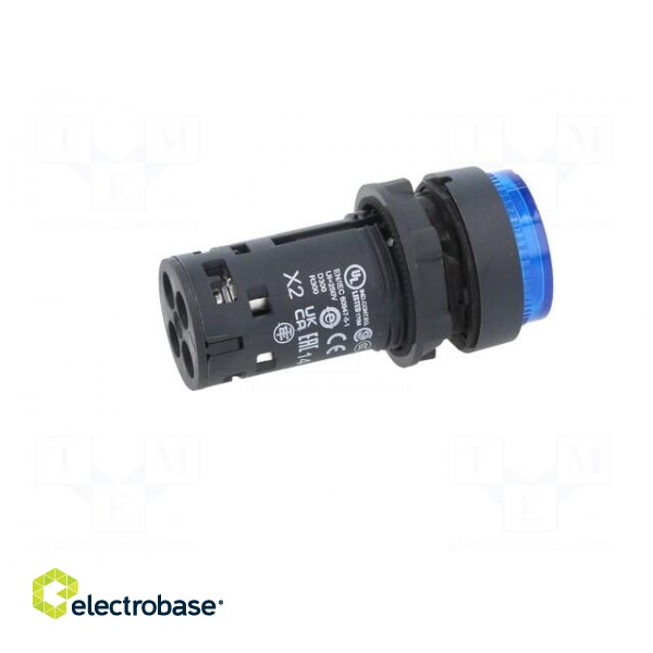 Switch: push-button | 22mm | Stabl.pos: 1 | NO | blue | LED | 24V | IP65 image 7