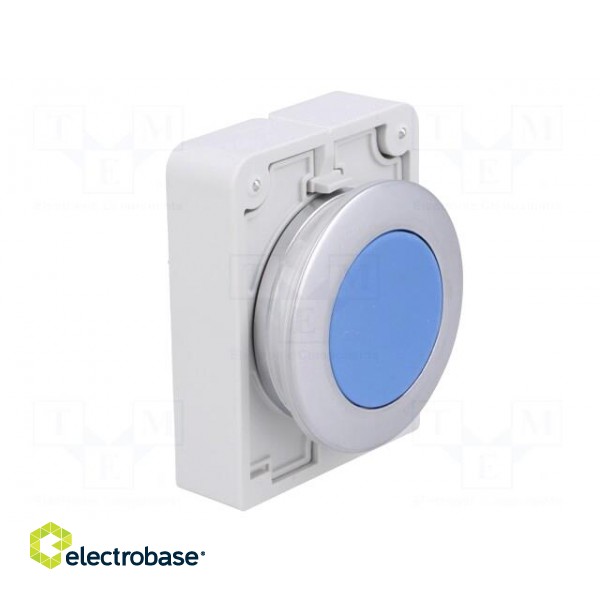 Switch: push-button | Stabl.pos: 1 | 30mm | blue | none | IP67 | Pos: 2 image 8