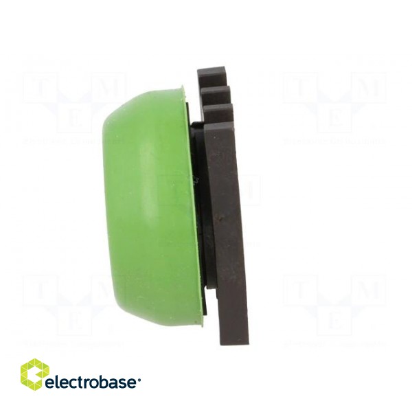 Switch: push-button | Stabl.pos: 1 | 30mm | green | none | IP66 | Pos: 2 image 3