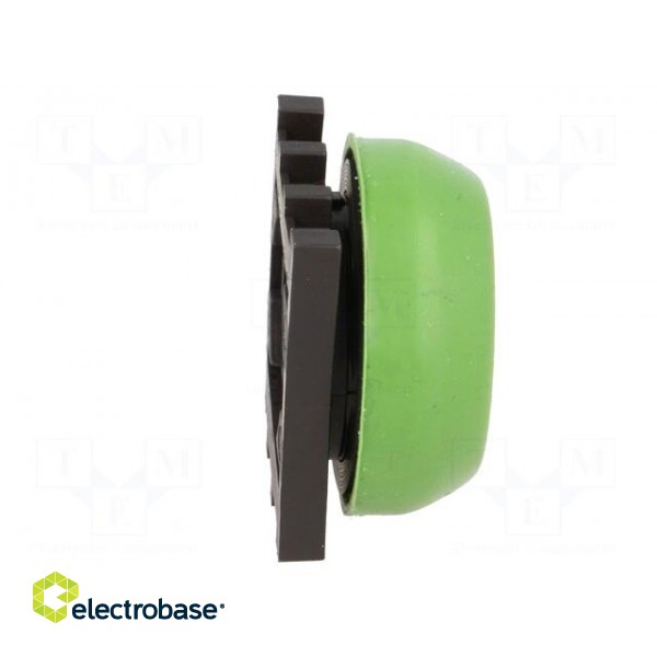 Switch: push-button | Stabl.pos: 1 | 30mm | green | none | IP66 | Pos: 2 image 7