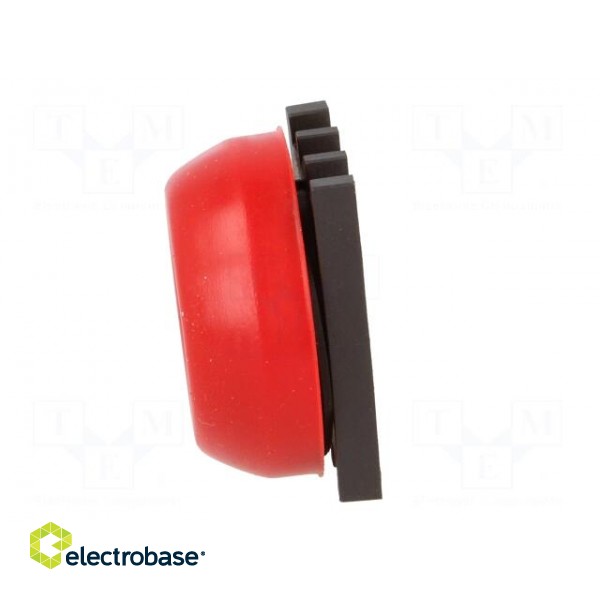 Switch: push-button | Stabl.pos: 1 | 30mm | red | none | IP66 | Pos: 2 фото 3