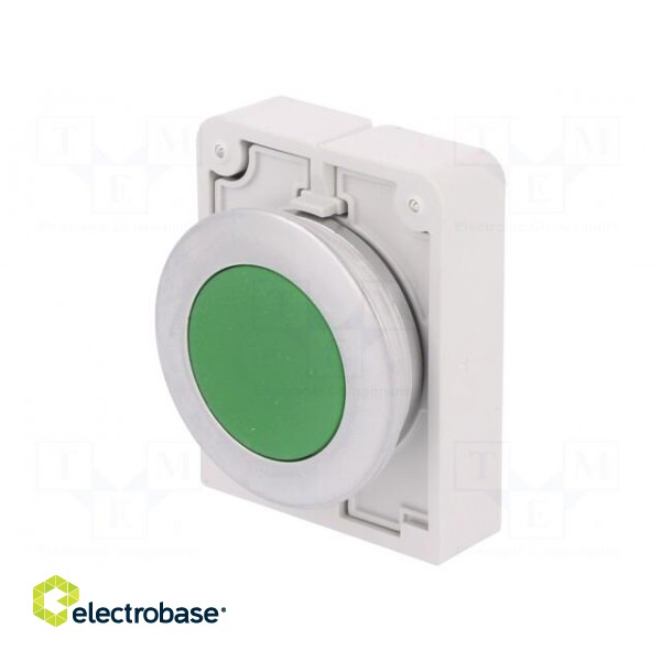 Switch: push-button | Stabl.pos: 2 | 30mm | green | none | IP67 | Pos: 2 image 1