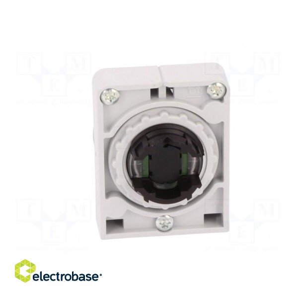 Switch: push-button | Stabl.pos: 2 | 30mm | green | none | IP67 | Pos: 2 image 5