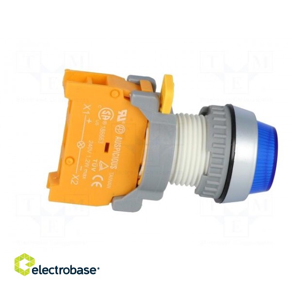 Control lamp | 22mm | PLN22 | -20÷60°C | Illumin: BA9S,filament lamp image 7