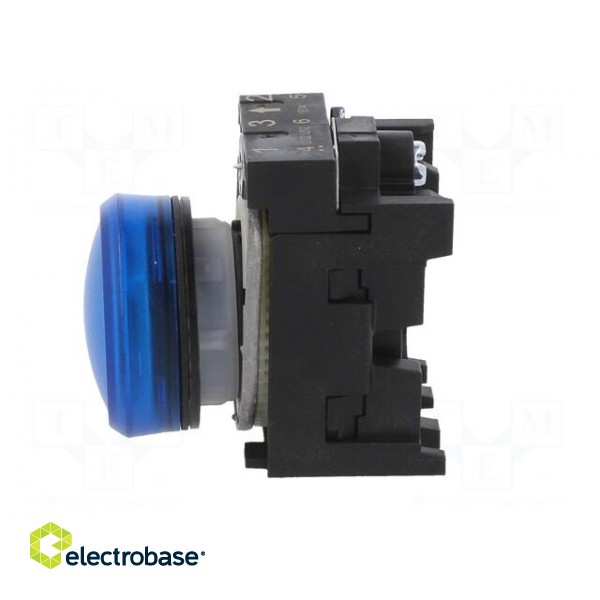 Control lamp | 22mm | -25÷70°C | Illumin: LED | Ø22mm | IP67 | 24VAC | blue image 3