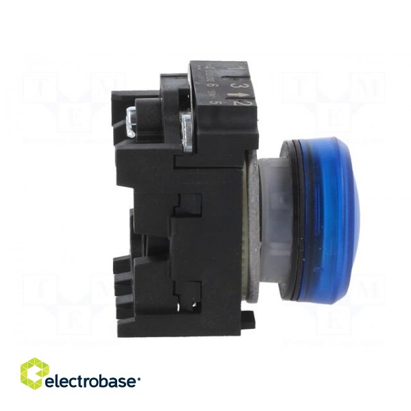Control lamp | 22mm | -25÷70°C | Illumin: LED | Ø22mm | IP67 | 24VAC | blue image 7