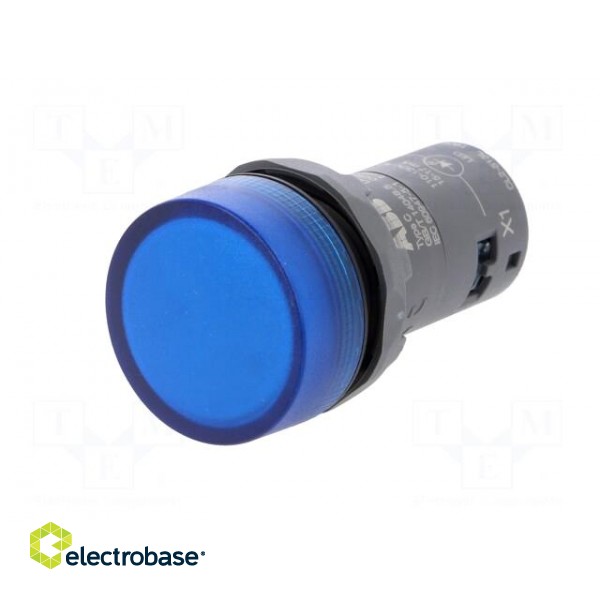 Control lamp | 22mm | CL2 | -25÷70°C | Illumin: LED | Ø22mm | 110÷130VAC paveikslėlis 2