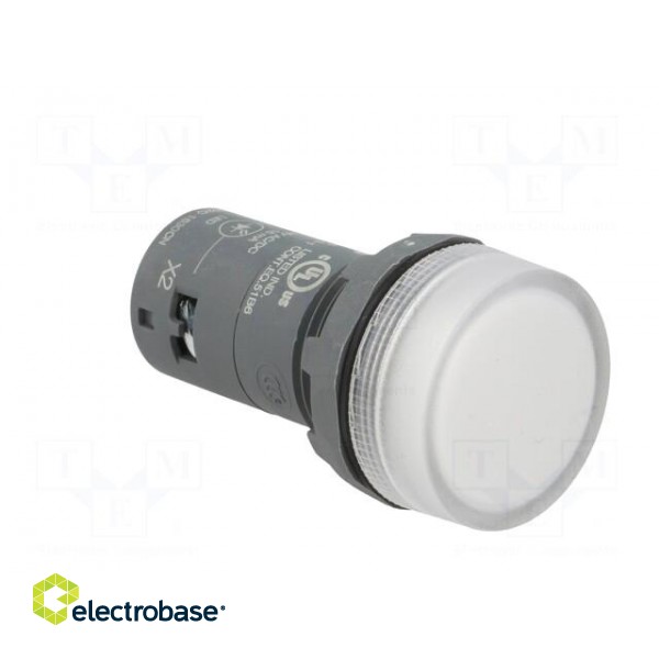 Control lamp | 22mm | CL2 | -25÷70°C | Illumin: LED | Ø22mm | 24VAC | 24VDC image 8