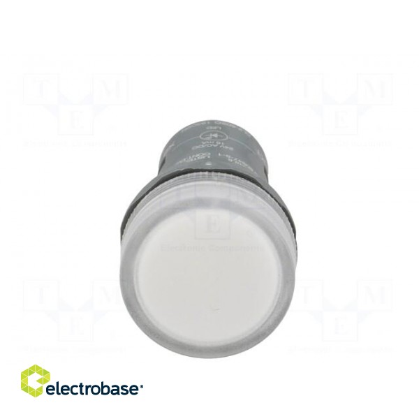 Control lamp | 22mm | CL2 | -25÷70°C | Illumin: LED | Ø22mm | 24VAC | 24VDC image 9