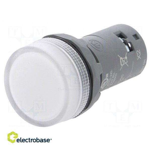 Control lamp | 22mm | CL2 | -25÷70°C | Illumin: LED | Ø22mm | 48÷60VAC paveikslėlis 1
