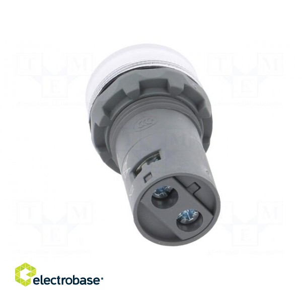 Control lamp | 22mm | CL2 | -25÷70°C | Illumin: LED | Ø22mm | 48÷60VAC image 5