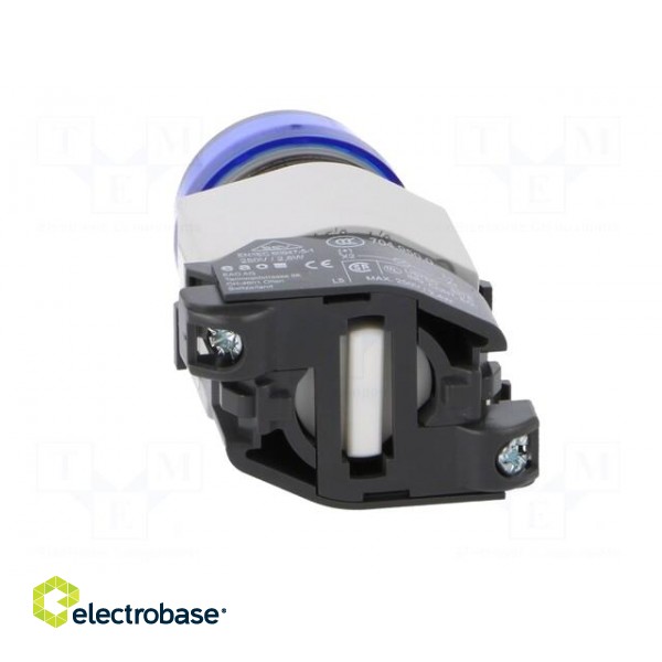 Control lamp | 22mm | 04 | -40÷55°C | Ø22.3mm | IP65 | Colour: blue image 5