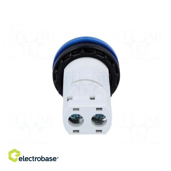 Control lamp | 22mm | RMQ-Titan | -25÷70°C | Ø22.5mm | IP67 | blue image 5