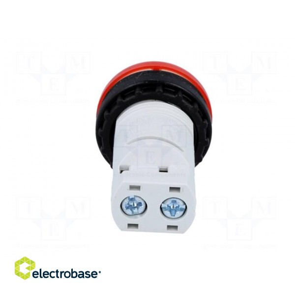 Control lamp | 22mm | RMQ-Titan | -25÷70°C | Ø22.5mm | IP67 | Colour: red image 5