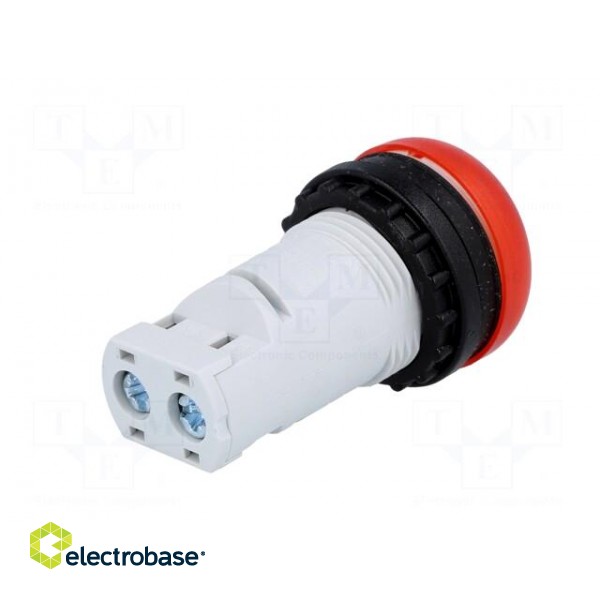 Control lamp | 22mm | RMQ-Titan | -25÷70°C | Ø22.5mm | IP67 | Colour: red paveikslėlis 6