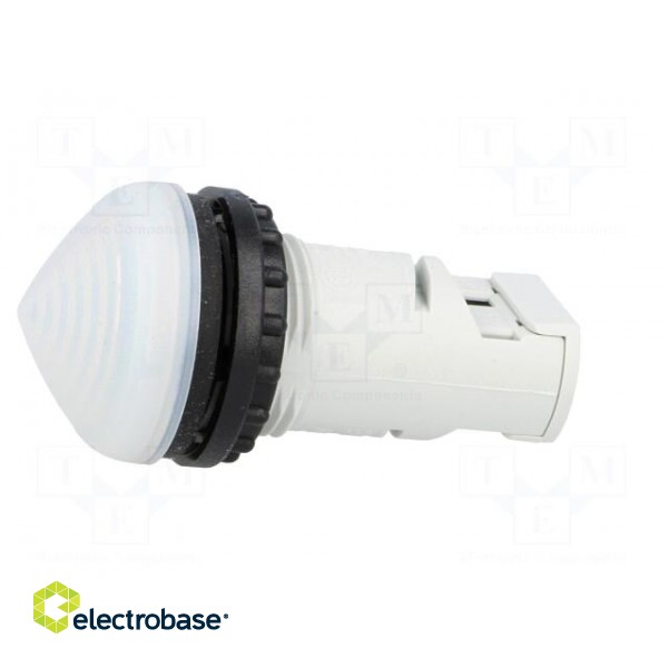 Control lamp | 22mm | RMQ-Titan | -25÷70°C | Ø22.5mm | IP67 | white image 3