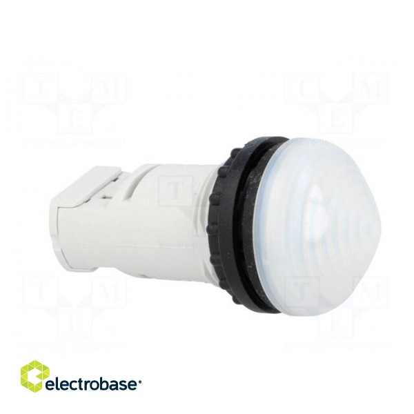 Control lamp | 22mm | RMQ-Titan | -25÷70°C | Ø22.5mm | IP67 | white image 8