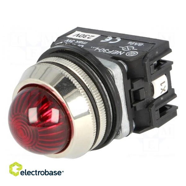 Control lamp | 30mm | NEF30 | -15÷30°C | Illumin: LED,filament lamp фото 1