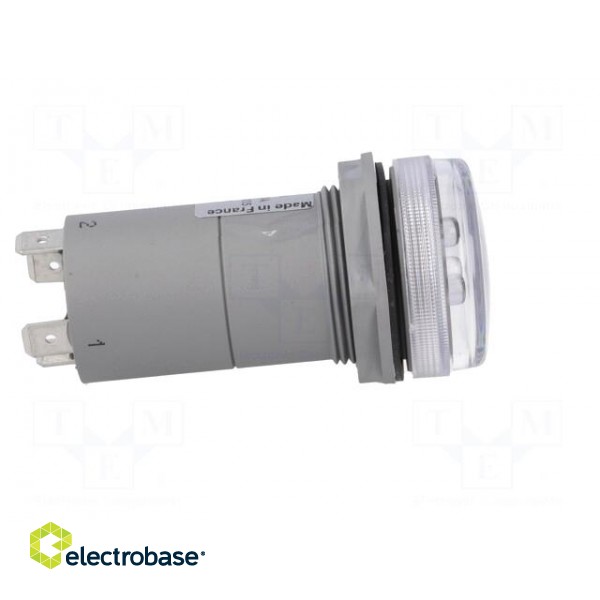 Voltage indicator | 30mm | Harmony XB5 | -30÷70°C | IP55 | 30mm image 7