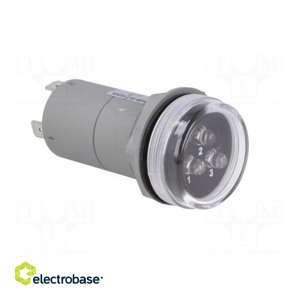 Voltage indicator | 30mm | Harmony XB5 | -30÷70°C | IP55 | 30mm paveikslėlis 8