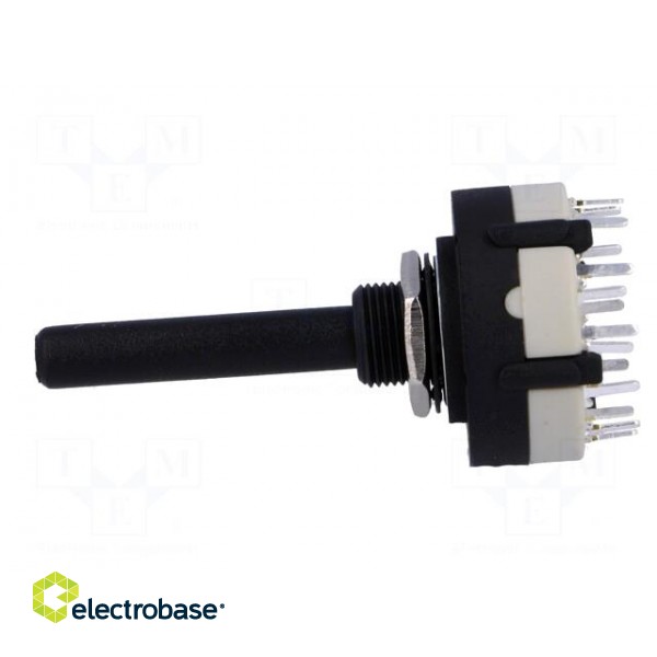 Switch: rotary | Pos: 12 | 0.3A/125VAC | 1A/30VDC | Poles number: 2 | 30° image 3