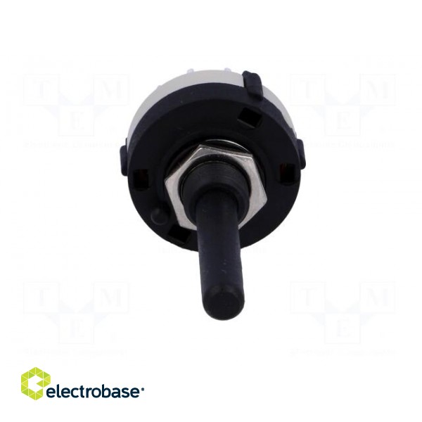 Switch: rotary | Pos: 12 | 0.3A/125VAC | 1A/30VDC | Poles number: 2 | 30° image 9