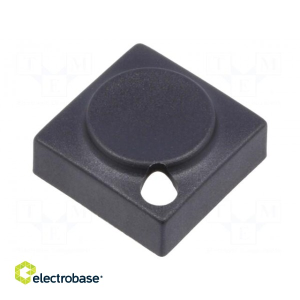 Button | rectangular | black | polyamide | 15.5x15.5mm image 1