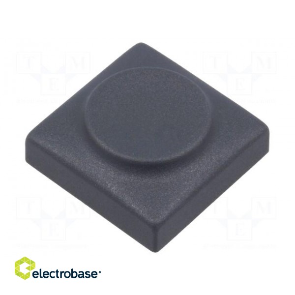 Button | rectangular | grey | polyamide | 18.3x18.3mm image 1