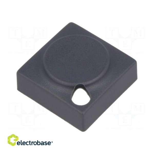 Button | rectangular | Colour: grey | Mat: PA | 15.5x15.5mm paveikslėlis 1