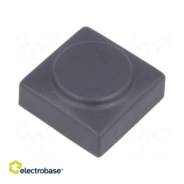 Button | rectangular | Colour: grey | Mat: PA | 15.5x15.5mm image 1
